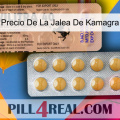 Kamagra Jelly Price 41